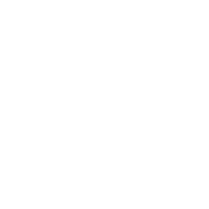 raunsborg